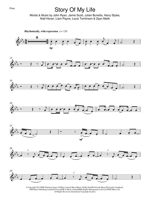 Story Of My Life - One Direction (Flute Solo)
