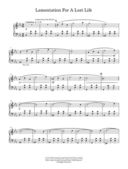 Lamentation For A Lost Life - Max Richter