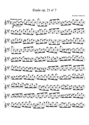値下げ・CHANGES for 7 Flutes スコア&パート譜 Joachim Andersen, Etude op. 21 no 7 (landscape) Sheet Music for