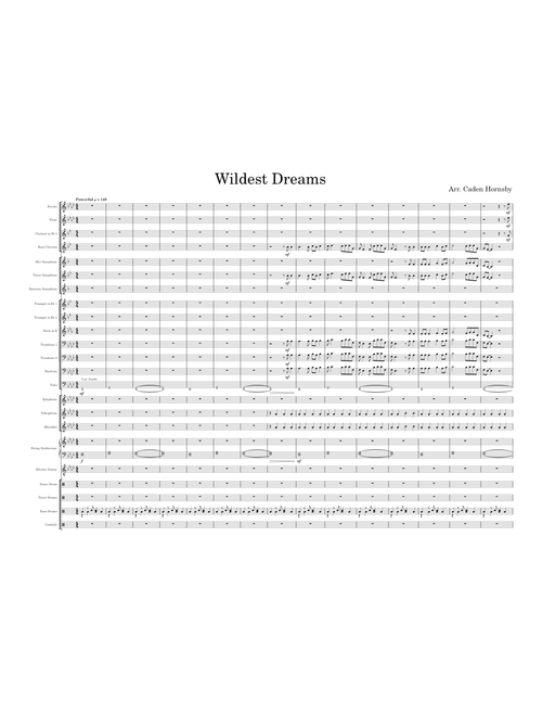 Wildest Dreams