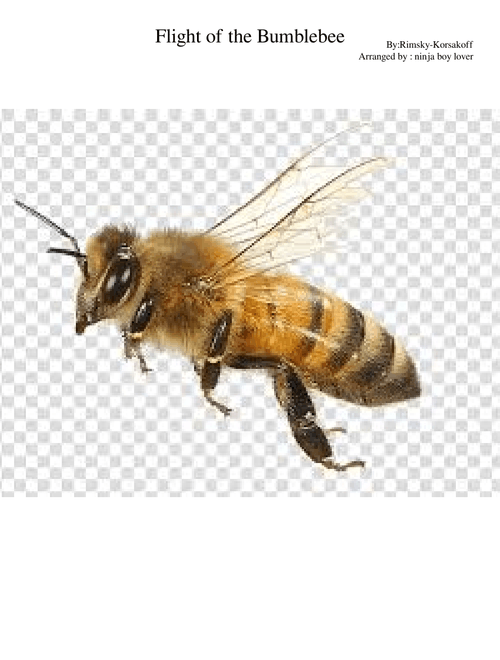 Flight of the Bumblebee