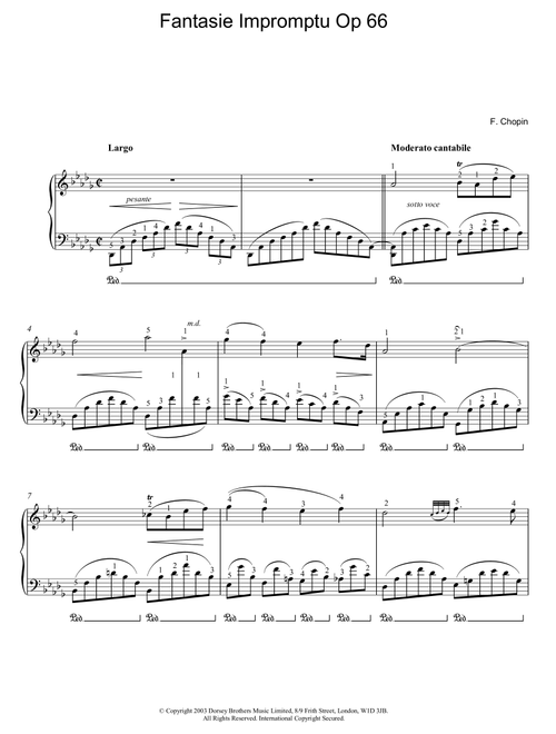 Fantasie Impromptu Op. 66 (Largo) - Frederic Chopin (Piano Solo)