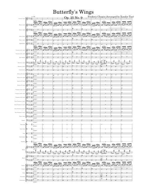 Étude in G♭ Major, Op. 25 No. 9 (Butterfly) – Frédéric Chopin Butterfly's Wings