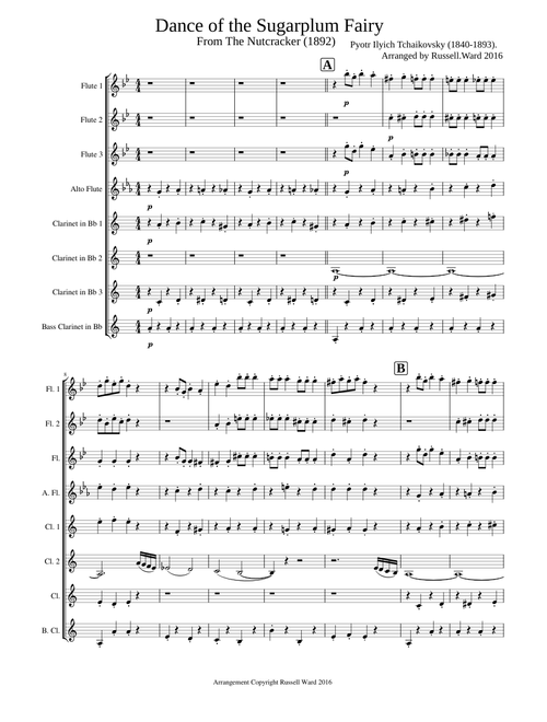 Dance of the Sugarplum Fairy from the Nutcracker Suite