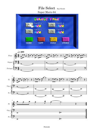 File Select (Super Mario 64) Sheet Music for Vocals, Tambourine, Bass ...