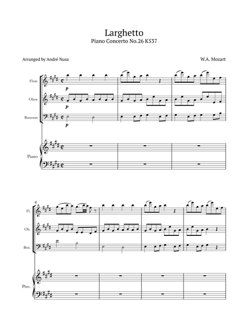 Piano Concerto No.26 Larghetto (Arr. André Nusa) - WA Mozart (Small Ensemble)