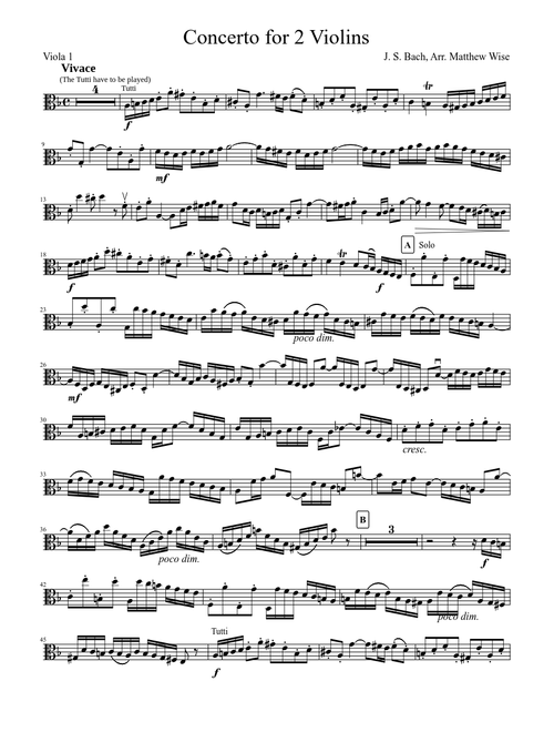 Concerto for 2 Violins