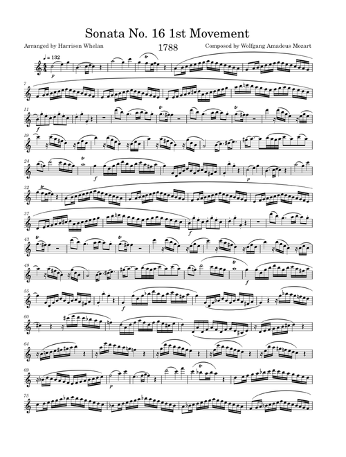Sonata No. 16 1st Movement