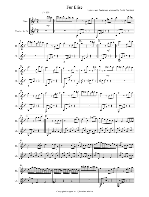 Fur Elise for Flute and Clarinet Duet (Arr. David Burndrett) - Ludwig van Beethoven (Instrumental Duet)