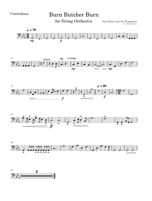 Burn Butcher Burn – Joe Trapanese and Joey Batey (Contrabass)