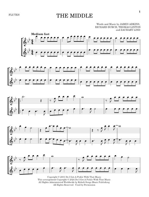 The Middle - Jimmy Eat World (Flute Duet)