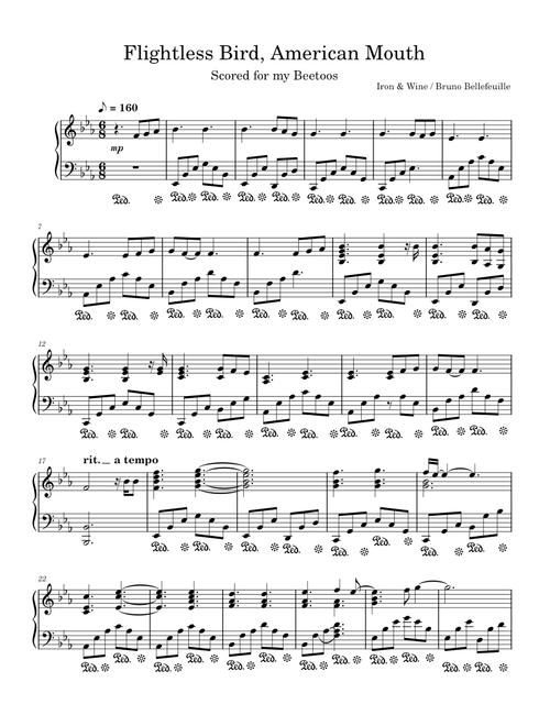 Flightless Bird, American Mouth