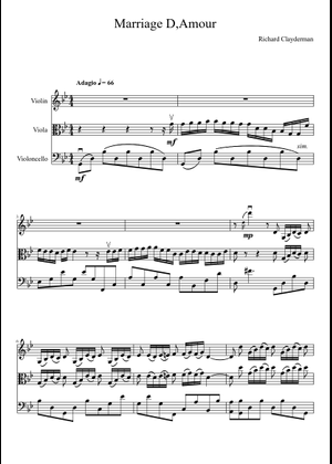 Marriage D,Amour String Duet