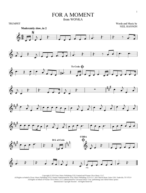 For A Moment (from Wonka) - Neil Hannon (Trumpet Solo)