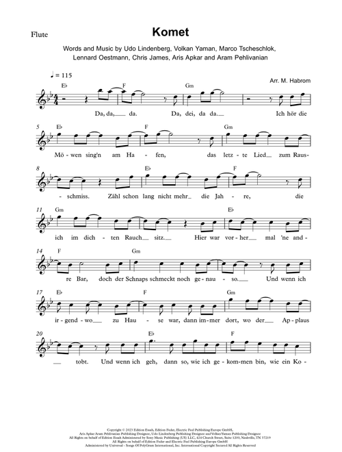 Komet (Arr. Michael Habrom) - Udo Lindenberg X Apache 207 (Flute Solo)