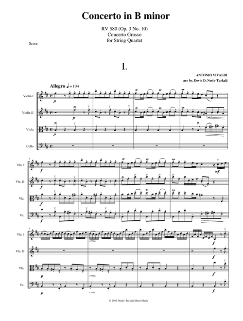 Concerto in B minor (Concerto Grosso) (Arr. Devin Neely-Turkalj) - Antonio Vivaldi (Chamber Orchestra)