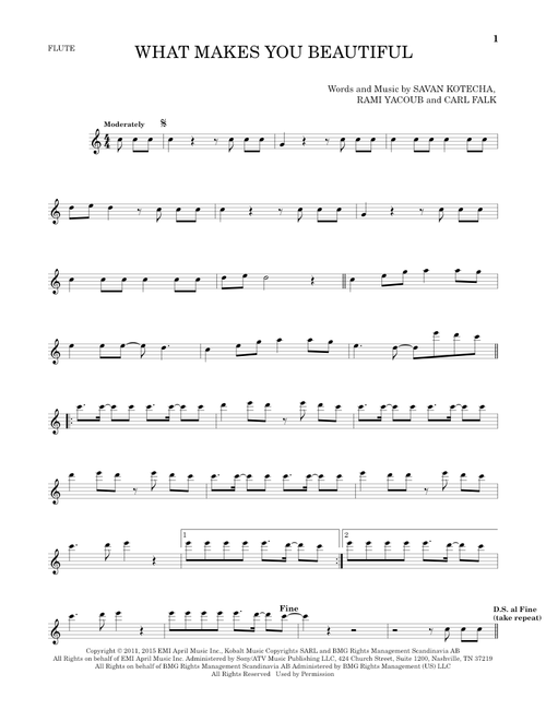 What Makes You Beautiful - One Direction (Flute Solo)