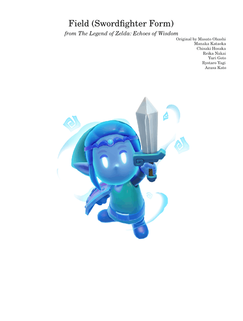 Field (Swordfighter Form) | The Legend of Zelda: Echoes of Wisdom