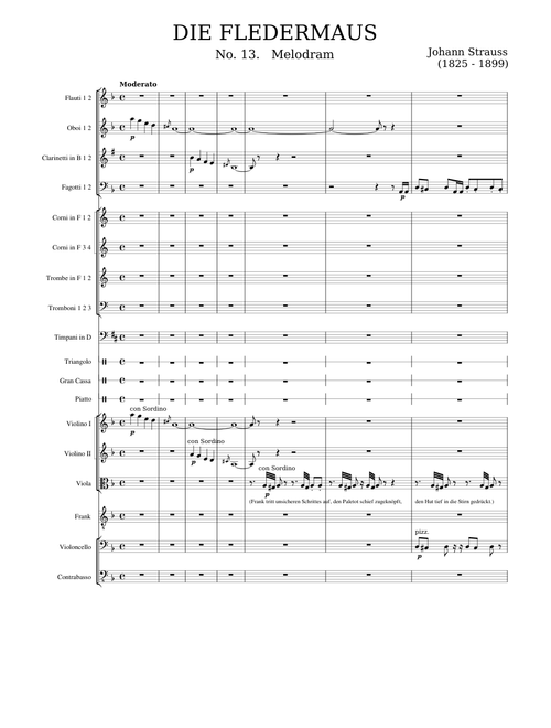 Die Fledermaus - Melodram
