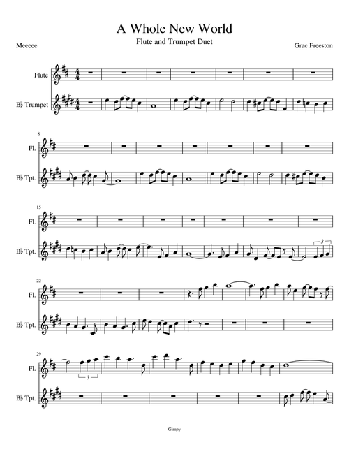 A Whole New World - Trumpet and Flute Duet