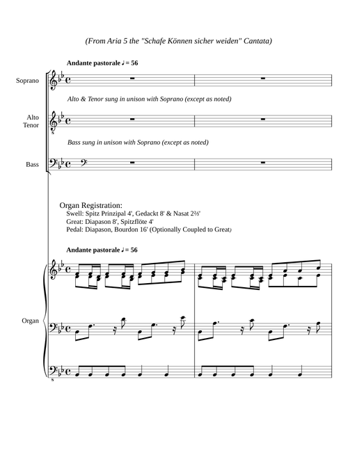 Sheep may safely graze – Johann Sebastian Bach