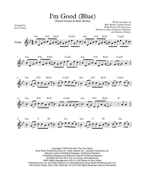 I'm Good (blue) (Arr. Iury Cardoso) - David Guetta & Bebe Rexha (Violin Solo)