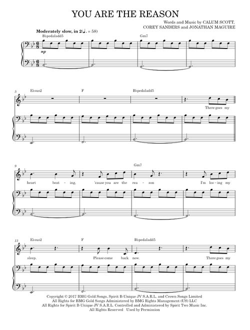 You are the reason - Calum Scott (Piano Vocal)