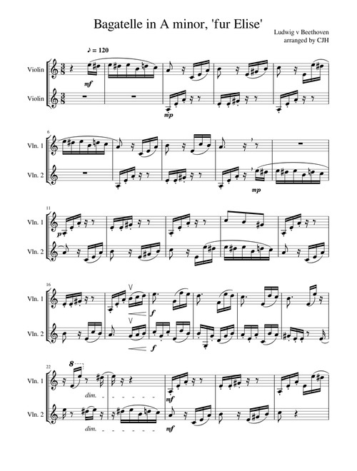fur Elise violin duet