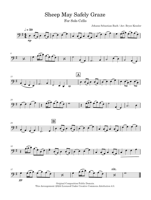 Sheep May Safely Graze, BWV 208 – Johann Sebastian Bach (For Solo Cello)
