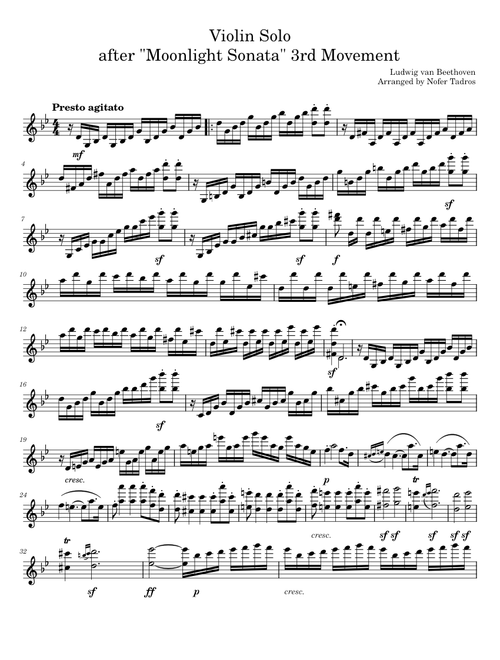Violin Solo after "Moonlight Sonata" 3rd Movement - Ludwig van Beethoven