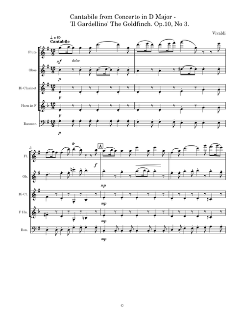 Cantabile from Flute Concerto in D major, RV 428 – Antonio Vivaldi