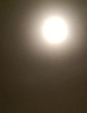You Cant Hurry Love Bass By Phil Collins Ultimate Guitar Com You Cant Hurry Love Bass By Phil Collins Ultimate Guitar Com