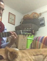 Baby Let Me Follow You Down Chords By Bob Dylan Ultimate Guitar Com